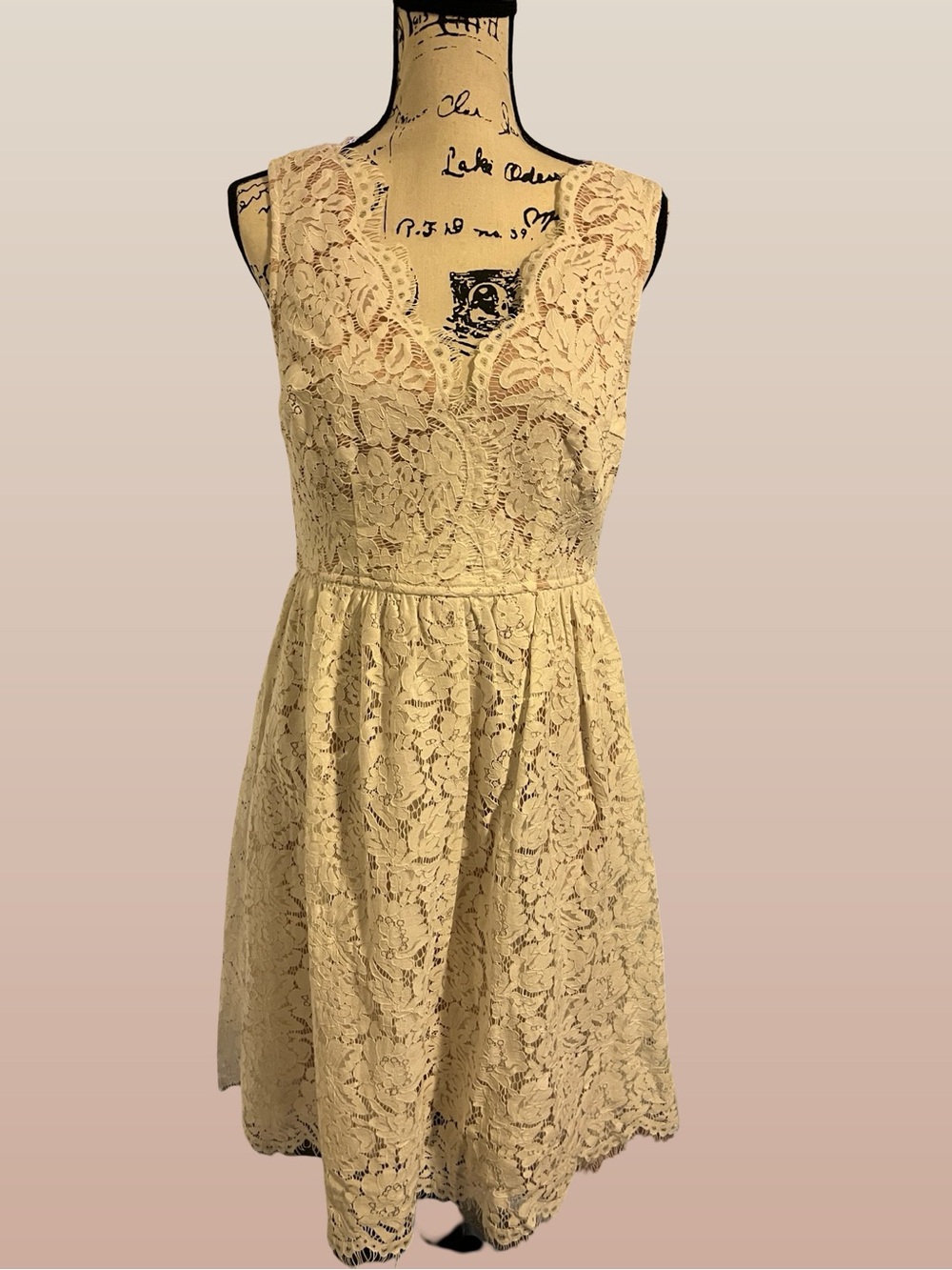Lulu’s Love Swept White Lace Midi Skater Dress With Pockets Size Large